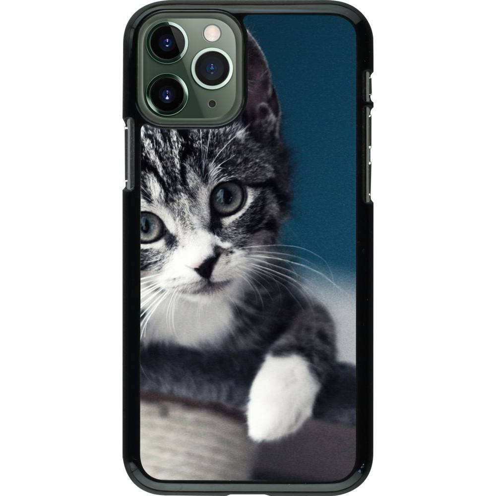 Coque iPhone 11 Pro - Meow 23