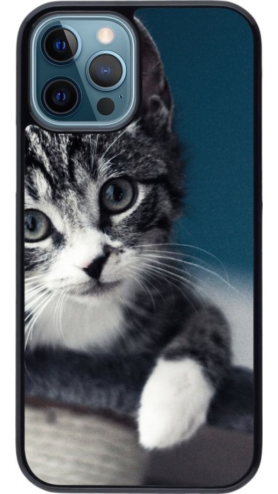 Coque iPhone 12 / 12 Pro - Meow 23