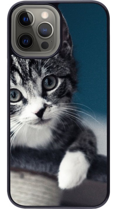 Coque iPhone 12 Pro Max - Meow 23