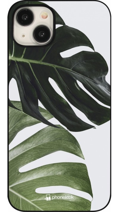 Coque iPhone 15 Plus - Monstera Plant