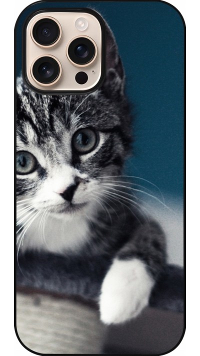 Coque iPhone 16 Pro Max - Meow 23