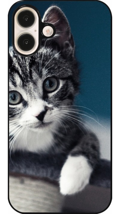 Coque iPhone 16 Plus - Meow 23