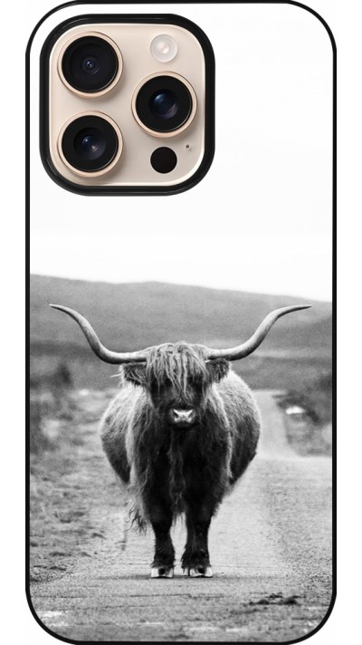 Coque iPhone 16 Pro - Highland cattle