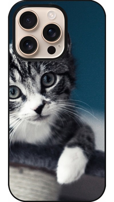 Coque iPhone 16 Pro - Meow 23