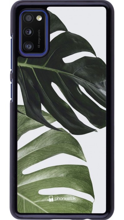 Hülle Samsung Galaxy A41 - Monstera Plant