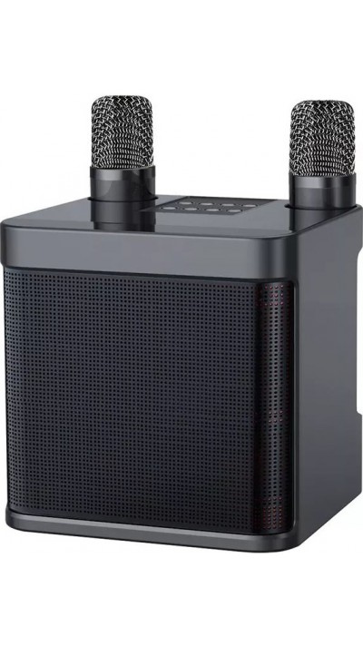 Karaoke Lautsrecher YS-203 Bluetooth Wireless + 2 kabellose Mikrofone - Schwarz